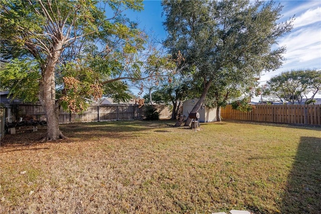 view of yard with a storage shed