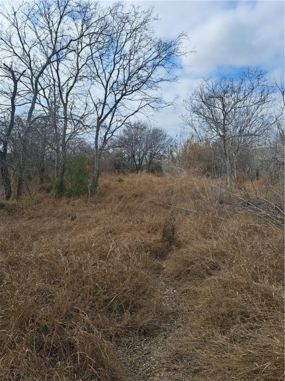 view of local wilderness