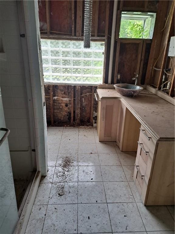 bathroom featuring a shower stall and vanity