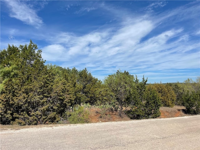 21900 Patton Cv, TX, 78645 land for sale