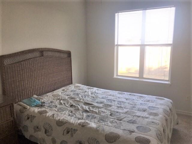 carpeted bedroom with multiple windows