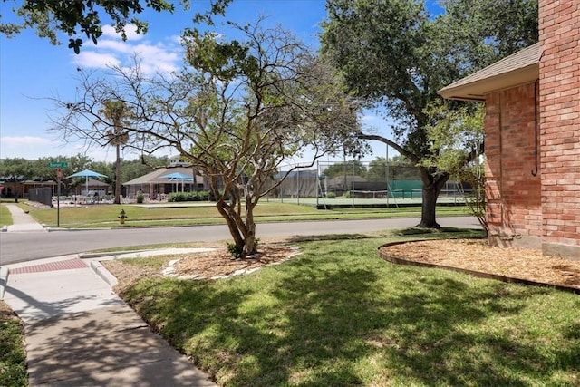 7430 Bourget Dr, Corpus Christi, TX 78413 - view of grassy yard