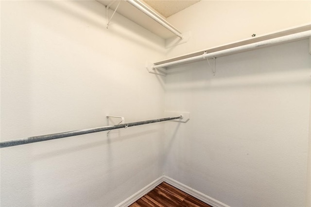 spacious closet with dark wood-style floors