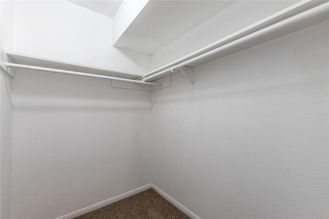 spacious closet featuring dark colored carpet