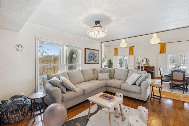 living area featuring an inviting chandelier, crown molding, wood finished floors, and a textured ceiling