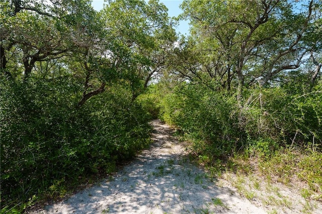 1689 Mooney Ln, Ingleside, TX 78362 - view of road