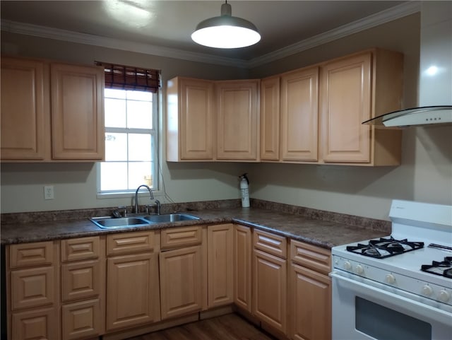 kitchen featuring white gas range, wall chimney exhaust hood, sink, crown molding, and pendant lighting