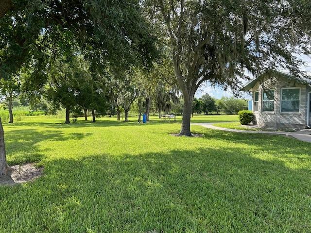 1209 County Road 3651, Sandia, TX 78383 - photo 5