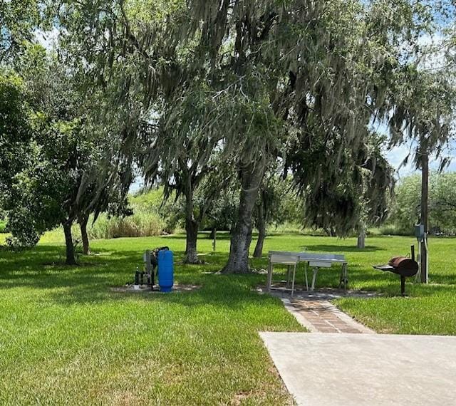 1209 County Road 3651, Sandia, TX 78383 - photo 14