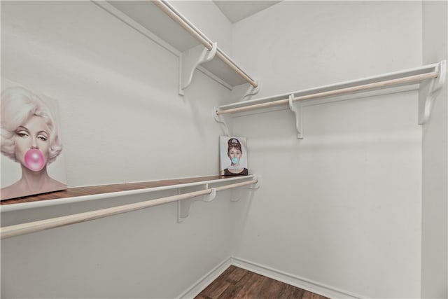 spacious closet featuring dark wood-type flooring