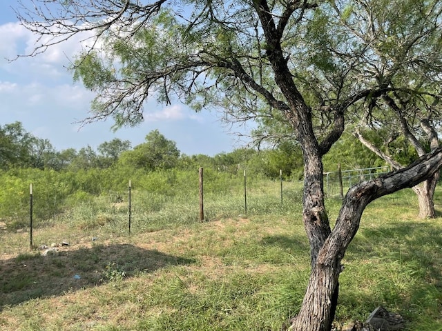 view of local wilderness