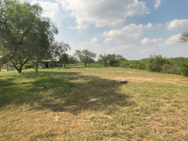 view of yard with a rural view