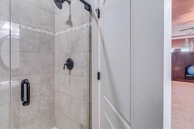 full bathroom featuring a shower stall and crown molding