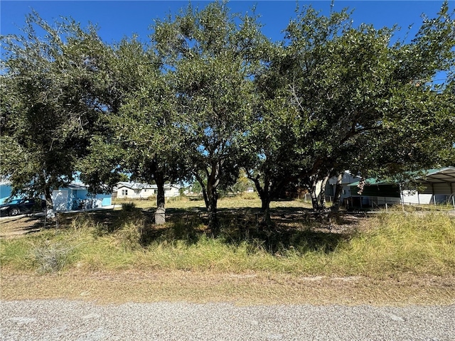 537 Pearson St, Corpus Christi TX, 78418 land for sale