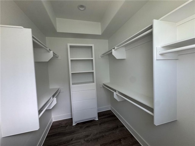 13741 Tajamar St, Corpus Christi, TX 78418 - spacious closet featuring dark wood-style flooring and a raised ceiling