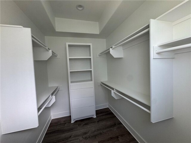 13741 Tajamar St, Corpus Christi, TX 78418 - spacious closet with dark wood-style floors and a raised ceiling