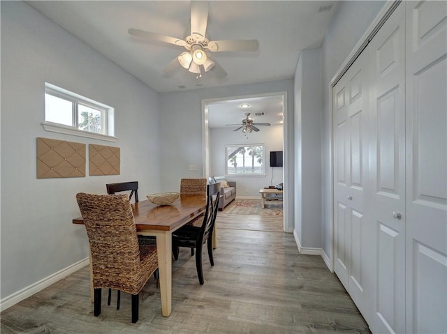 dining room with ceiling fan and light hardwood / wood-style floors