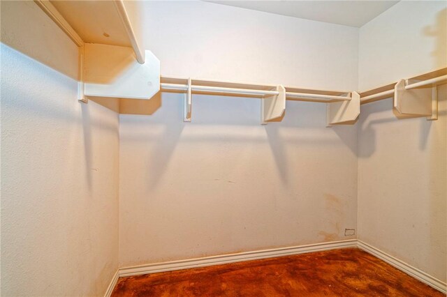 4102 Castle Valley Dr, Corpus Christi, TX 78410 - view of spacious closet