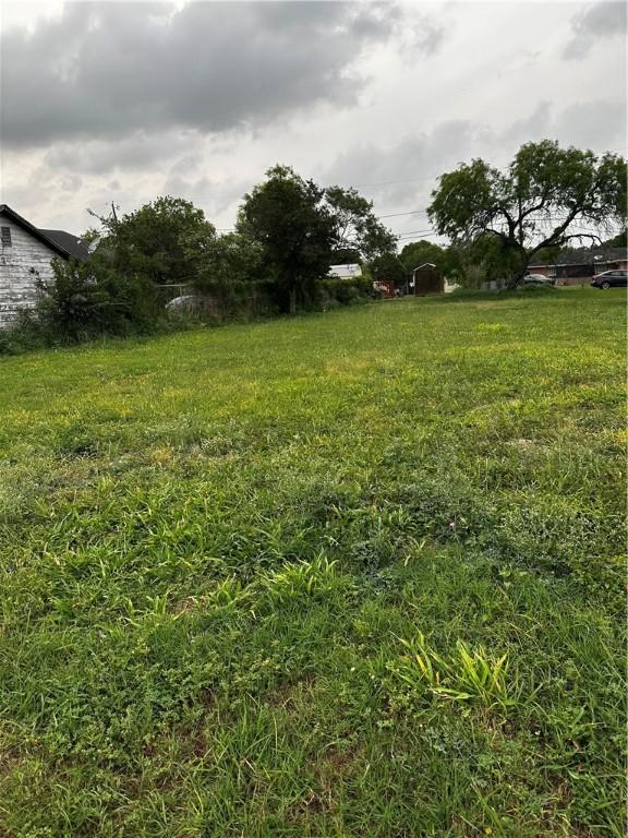 410 W Huisache Ave, Kingsville, TX 78363