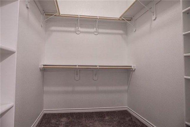 1020 Pasadena St, Portland, TX 78374 - walk in closet featuring carpet