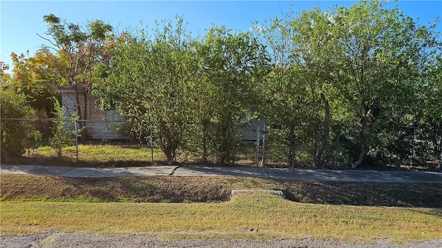 4525 Southwood St, Corpus Christi, TX 78415 - view of yard