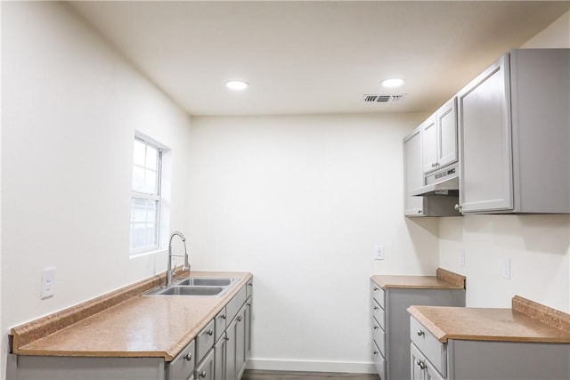 109 Dewey Ave, Alice, TX 78332 - kitchen featuring a sink, gray cabinets, baseboards, under cabinet range hood, and recessed lighting