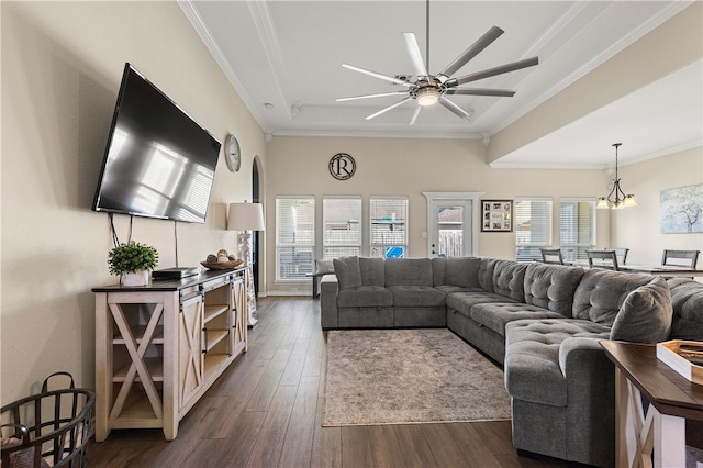 living room featuring ceiling fan with notable chandelier, crown molding, and dark wood-type flooring