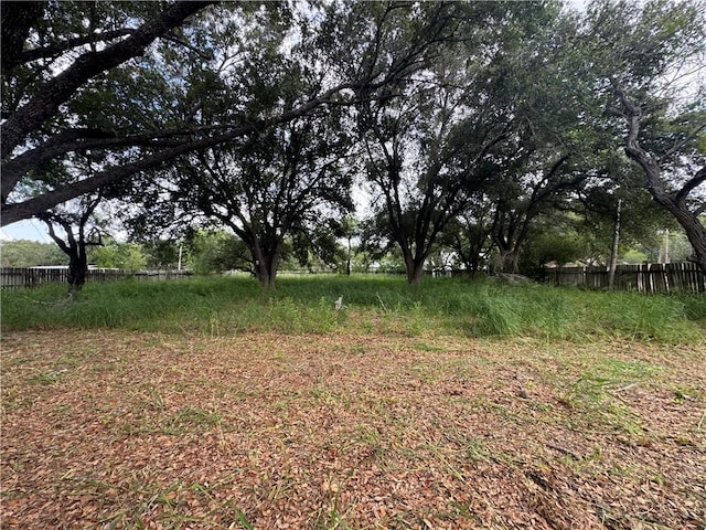 409 Taylor Rd, Falfurrias, TX 78355 - photo 4