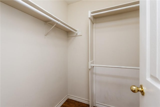 walk in closet featuring dark wood-style floors