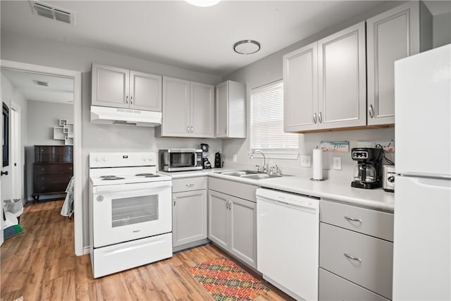 kitchen featuring light hardwood / wood-style flooring, sink, and white appliances