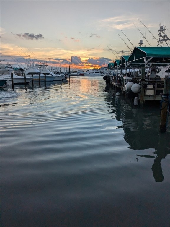 14300 S Padre Island Dr Unit 223, Corpus Christi, TX 78418 - dock area featuring a water view