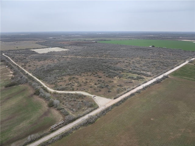 CR 176, Kenedy TX, 78119 land for sale