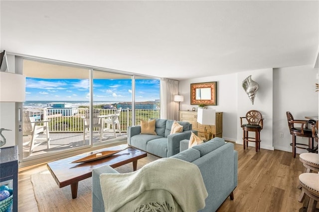 living room with light hardwood / wood-style flooring