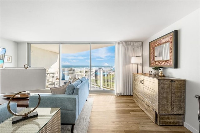 living room with floor to ceiling windows and light hardwood / wood-style flooring