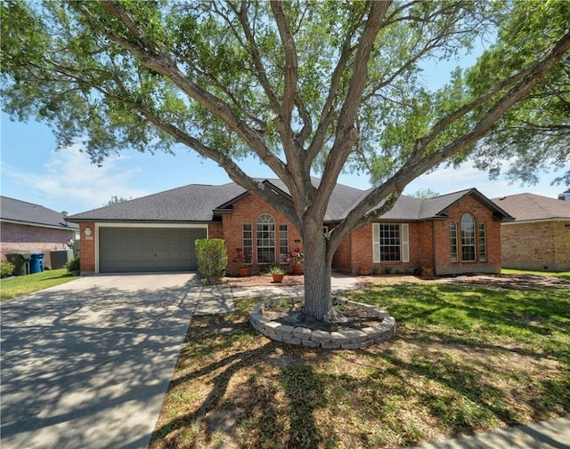 ranch-style house with a garage, driveway, a front yard, and brick siding