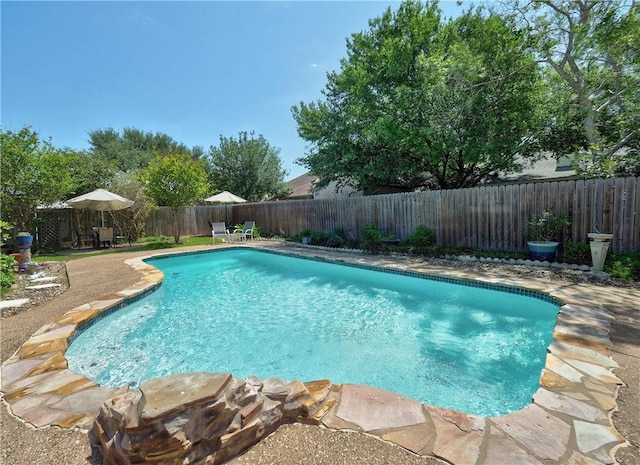 view of swimming pool featuring a fenced in pool and a fenced backyard