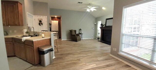 bedroom featuring ceiling fan, a tray ceiling, and light wood finished floors