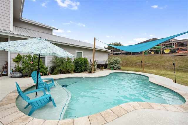 view of pool with a patio area