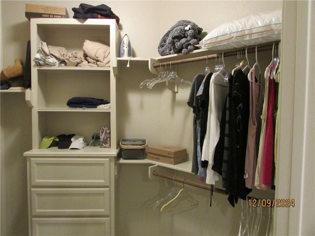 view of spacious closet