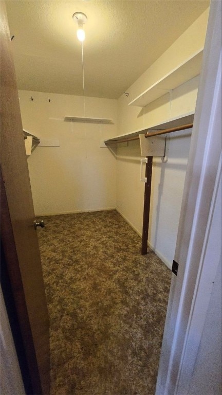 walk in closet featuring dark colored carpet