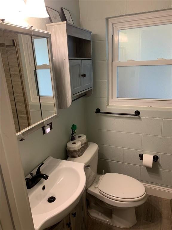 half bath featuring a sink, wood finished floors, and toilet