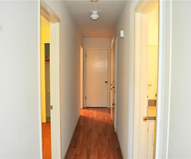hallway with dark wood-style flooring