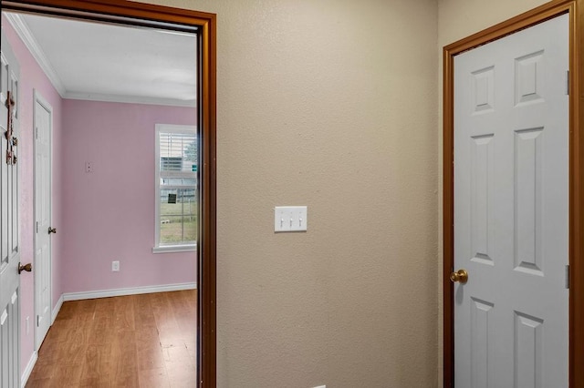 hall featuring light hardwood / wood-style flooring and crown molding