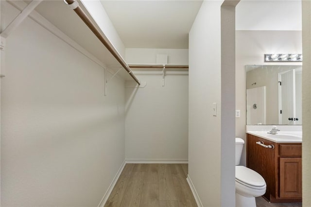 spacious closet featuring a sink and light wood-style flooring