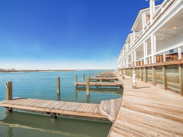 dock area with a water view