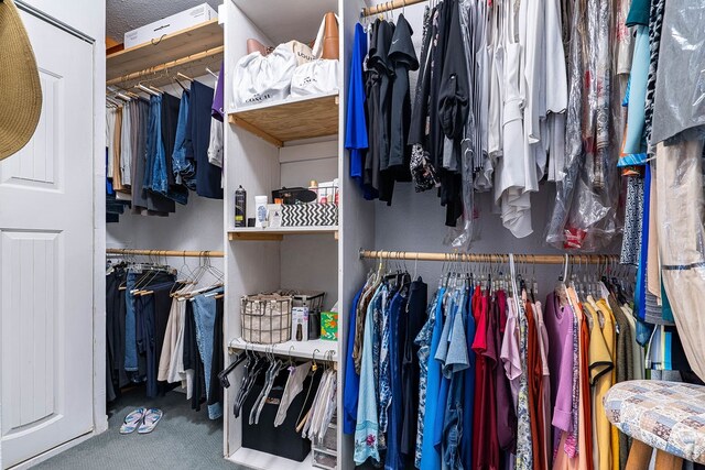 walk in closet featuring carpet floors