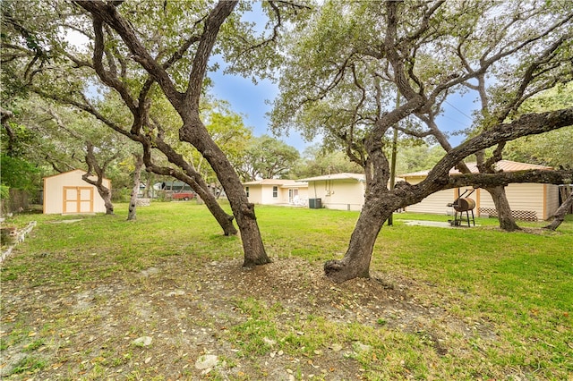 view of yard with a storage shed