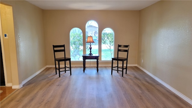 sitting room with hardwood / wood-style floors and plenty of natural light