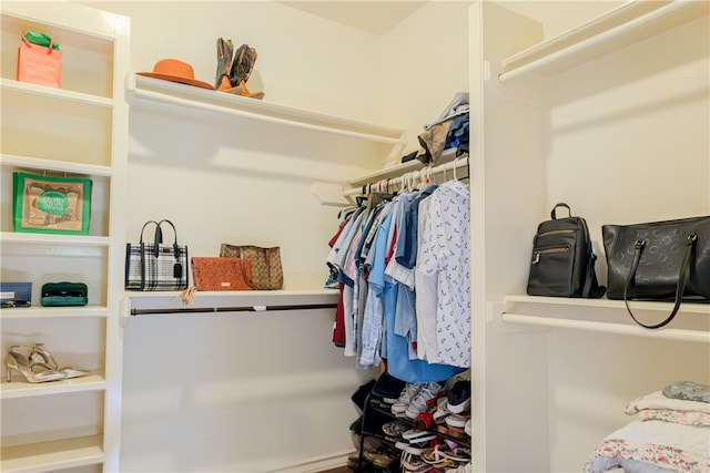 view of walk in closet