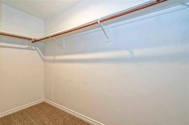 3922 Jayden Dr, Corpus Christi, TX 78410 - spacious closet featuring carpet floors